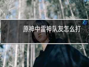 原神中雷神队友怎么打