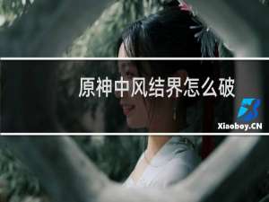 原神中风结界怎么破