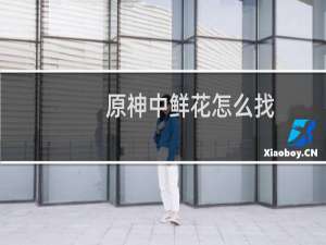 原神中鲜花怎么找