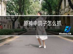 原神中鸽子怎么抓