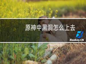 原神中黑洞怎么上去