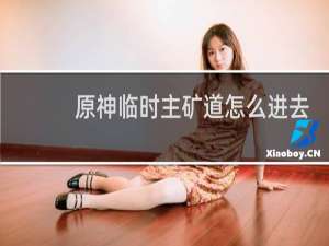 原神临时主矿道怎么进去