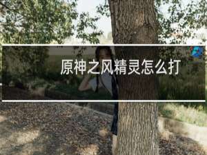 原神之风精灵怎么打