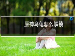 原神乌龟怎么解锁