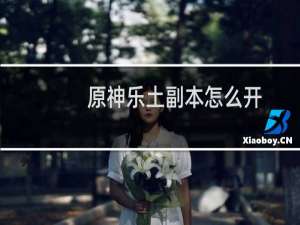 原神乐土副本怎么开