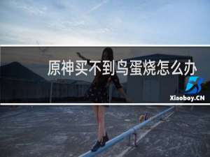 原神买不到鸟蛋烧怎么办