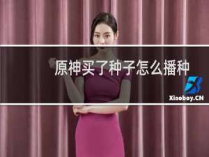 原神买了种子怎么播种