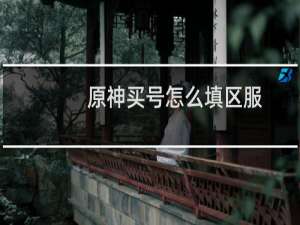 原神买号怎么填区服