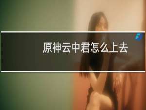 原神云中君怎么上去