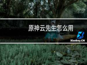 原神云先生怎么用