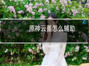 原神云堇怎么辅助