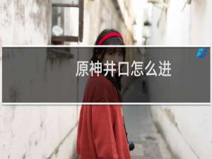 原神井口怎么进