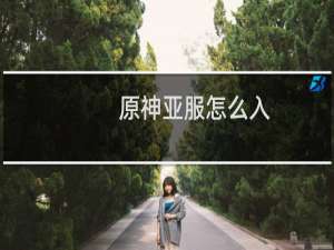 原神亚服怎么入