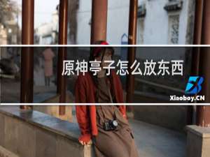 原神亭子怎么放东西