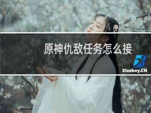 原神仇敌任务怎么接