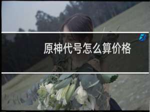 原神代号怎么算价格