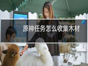原神任务怎么收集木材