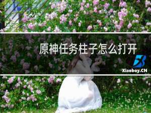 原神任务柱子怎么打开