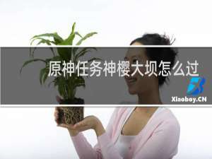 原神任务神樱大坝怎么过