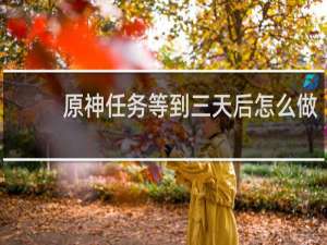 原神任务等到三天后怎么做