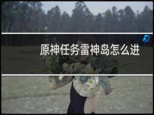 原神任务雷神岛怎么进