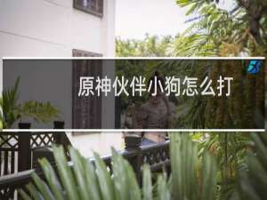 原神伙伴小狗怎么打