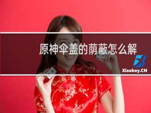 原神伞盖的荫蔽怎么解谜（原神伞盖的荫蔽解谜攻略）