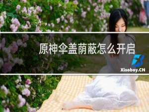 原神伞盖荫蔽怎么开启