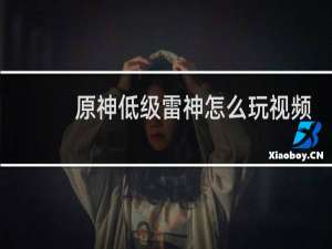 原神低级雷神怎么玩视频