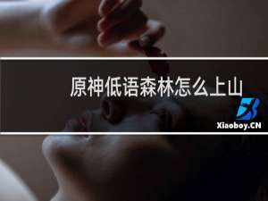 原神低语森林怎么上山