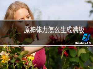 原神体力怎么生成满级