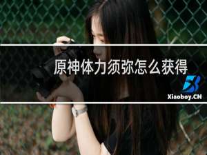 原神体力须弥怎么获得