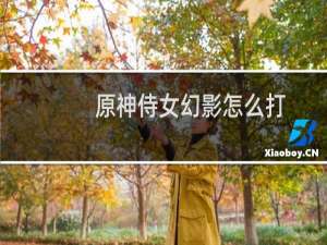 原神侍女幻影怎么打