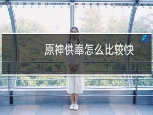 原神供奉怎么比较快