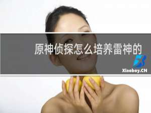 原神侦探怎么培养雷神的