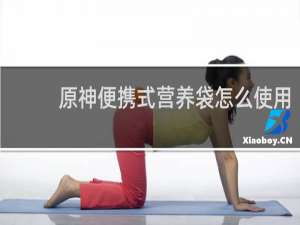 原神便携式营养袋怎么使用