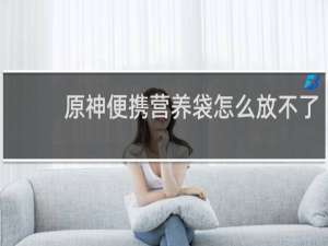 原神便携营养袋怎么放不了