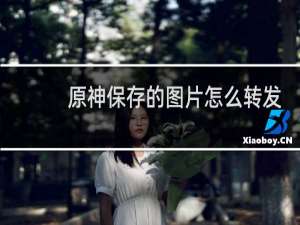原神保存的图片怎么转发
