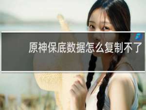 原神保底数据怎么复制不了