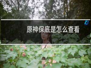 原神保底是怎么查看