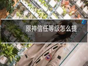 原神信任等级怎么提