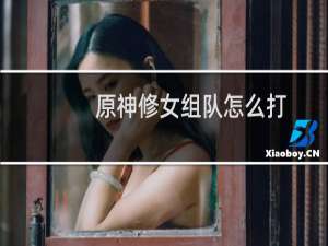 原神修女组队怎么打