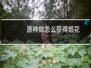 原神做怎么获得烟花