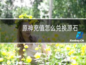 原神充值怎么兑换原石