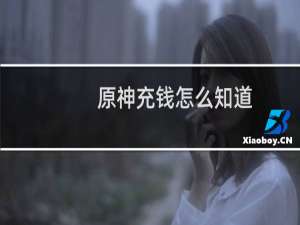 原神充钱怎么知道