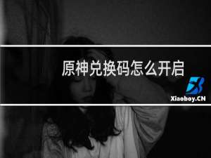 原神兑换码怎么开启