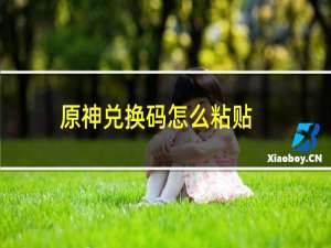 原神兑换码怎么粘贴
