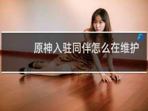 原神入驻同伴怎么在维护