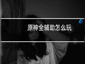 原神全辅助怎么玩
