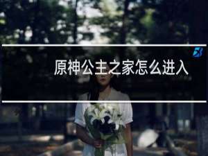 原神公主之家怎么进入